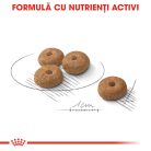 Royal Canin Mini Sterilised Adult Hrană uscată pentru câini 1 kg