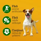 Pedigree DentaStix batoane dentare pentru câini de talie mică, cu eucalipt 110 g