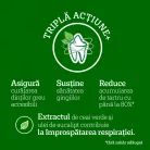 Pedigree DentaStix batoane dentare pentru câini de talie mică, cu eucalipt 110 g