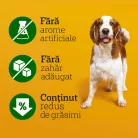 Pedigree DentaStix batoane dentare pentru câini de talie medie, cu eucalipt 180 g