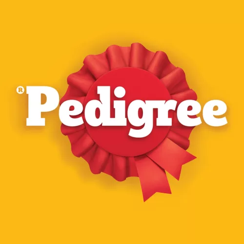 Pedigree DentaStix batoane dentare pentru câini de talie mare, cu eucalipt 270 g