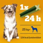 Pedigree DentaStix batoane dentare pentru câini de talie mare, cu eucalipt 270 g