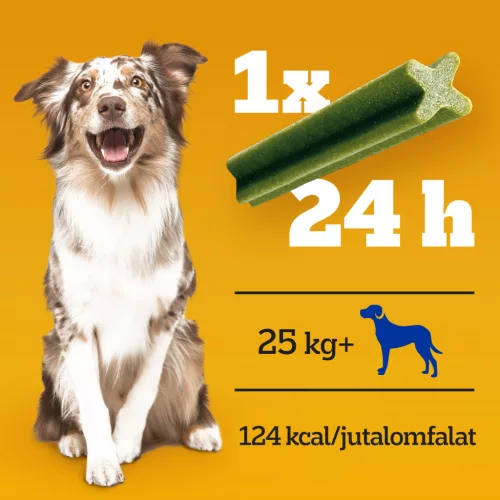 Pedigree DentaStix batoane dentare pentru câini de talie mare, cu eucalipt 270 g