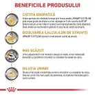Royal Canin Urinary S/O Hrană uscată pentru pisici adulte 85 g