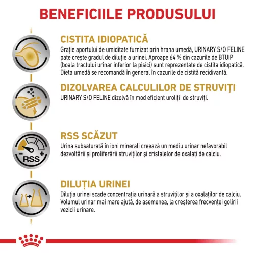 Royal Canin Urinary S/O Hrană uscată pentru pisici adulte 85 g