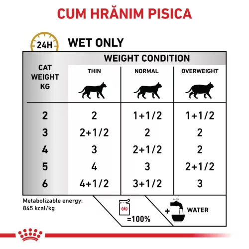 Royal Canin Urinary S/O Hrană uscată pentru pisici adulte 85 g