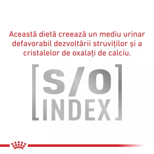 Royal Canin Urinary S/O Hrană uscată pentru pisici adulte 85 g