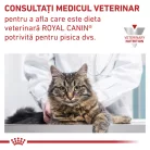 Royal Canin Urinary S/O Hrană uscată pentru pisici adulte 85 g