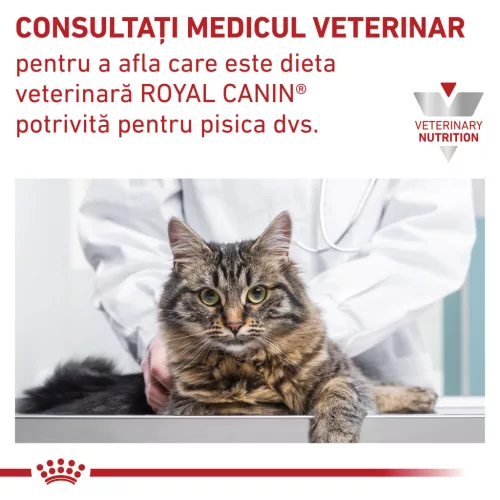 Royal Canin Urinary S/O Hrană uscată pentru pisici adulte 85 g