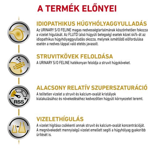 Royal Canin Veterinary Hrană umedă pentru pisici, susținerea tractului urinar 12x85 g