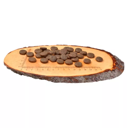Carnilove Adult Large Breed Hrană uscată pentru câini cu somon și curcan 12 kg