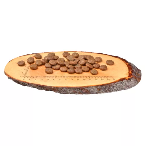 Carnilove True Fresh Adult Hrană uscată pentru câini cu crap și păstrăv 12 kg