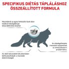 Royal Canin Veterinary Hrană uscată hipoalergenică pentru pisici 400 g