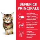Hill's Hrană uscată pentru pisici junior, cu pui 7 kg