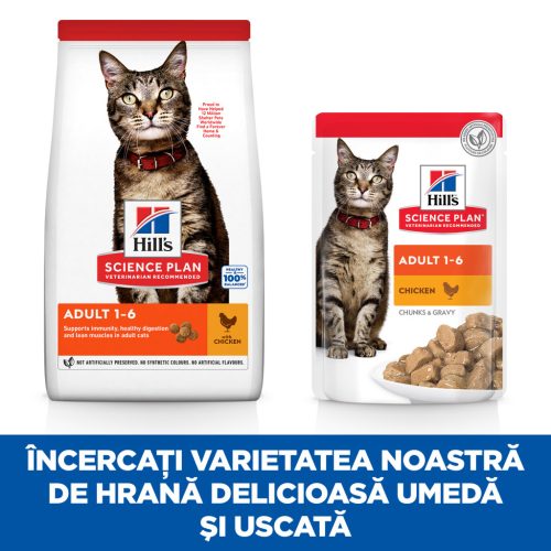 Hill's Hrană uscată pentru pisici adulte, cu pui 3 kg