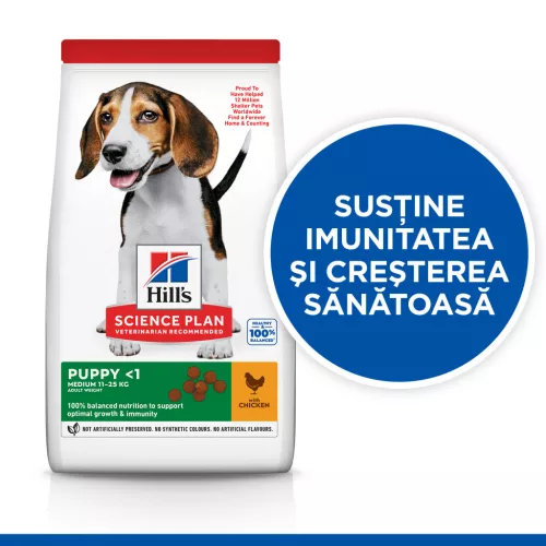 Hill's Hrană uscată pentru câini juniori de talie medie, cu pui 2.5 kg