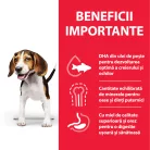 Hill's Hrană uscată pentru câini juniori de talie medie, cu miel și orez 2.5 kg