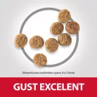 Hill's Light Hrană uscată pentru câini adulți de talie mică, cu pui 1.5 kg