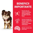 Hill's Light Hrană uscată pentru câini adulți de talie mică, cu pui 1.5 kg