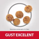 Hill's Perfect Weight Hrană uscată pentru câini adulți de talie mică și medie, cu pui 1.5 kg