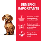 Hill's Perfect Weight Hrană uscată pentru câini adulți de talie mică și medie, cu pui 1.5 kg