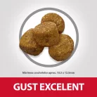 Hill's Light Hrană uscată pentru câini adulți de talie medie, cu pui 2.5 kg