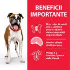 Hill's Light Hrană uscată pentru câini adulți de talie medie, cu pui 2.5 kg