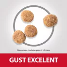Hill's Perfect Weight Hrană uscată pentru câini adulți de talie medie, cu pui 12 kg