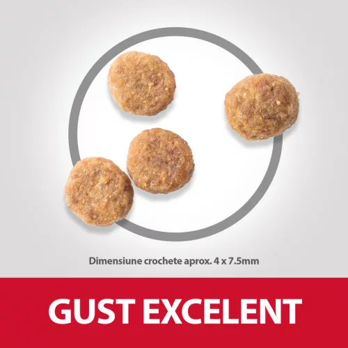 Hill's Perfect Weight Hrană uscată pentru câini adulți de talie medie, cu pui 12 kg