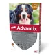 Advantix Spot-On Soluție antiparazitară pentru câini de talie mare 40-60 kg, 1 x 6 ml 