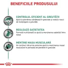 Royal Canin Satiety Weight Management Hrană umedă pentru pisici adulte 85 g