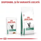 Royal Canin Satiety Weight Management Hrană umedă pentru pisici adulte 85 g