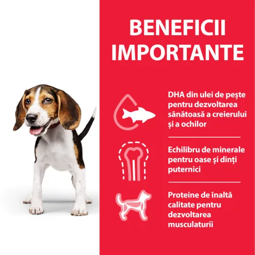 Hill's Hrană uscată pentru câini juniori de talie medie, cu pui 14 kg