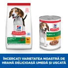 Hill's Hrană uscată pentru câini juniori de talie medie, cu pui 14 kg