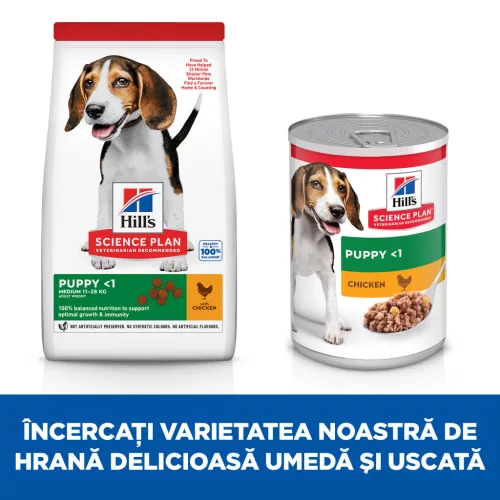 Hill's Hrană uscată pentru câini juniori de talie medie, cu pui 14 kg