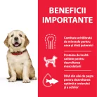 Hill's Hrană uscată pentru câini juniori de talie mare, cu pui 14.5 kg