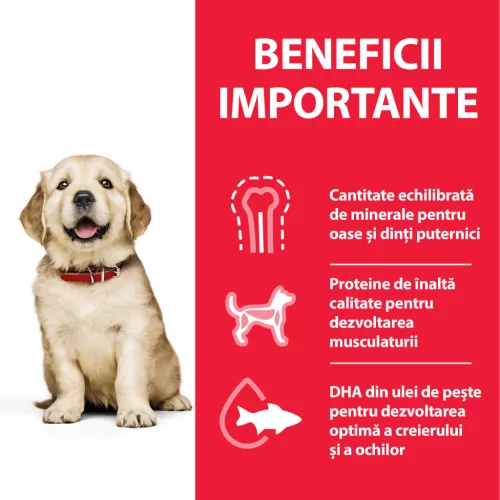 Hill's Hrană uscată pentru câini juniori de talie mare, cu pui 14.5 kg