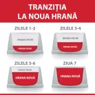 Hill's Hrană uscată pentru câini juniori de talie mare, cu pui 14.5 kg