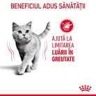 Royal Canin Light Weight Care Adult Hrană uscată pentru pisici 1,5 kg