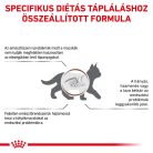 Royal Canin Veterinary Kitten Hrană uscată pentru pisici cu probleme digestive 400 g