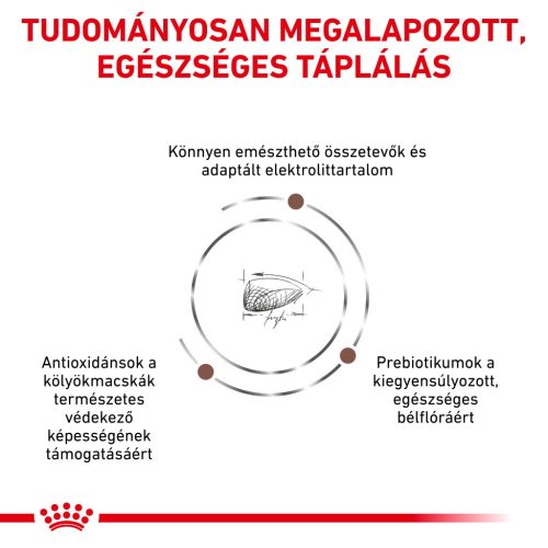 Royal Canin Veterinary Kitten Hrană uscată pentru pisici cu probleme digestive 400 g