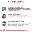 Royal Canin Veterinary Kitten Hrană uscată pentru pisici cu probleme digestive 400 g