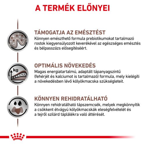 Royal Canin Veterinary Kitten Hrană uscată pentru pisici cu probleme digestive 2 kg