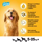 Pedigree Rodeo Duos Hrană complementară cu aromă de vită și brânză pentru câini adulți, 7 buc 123 g