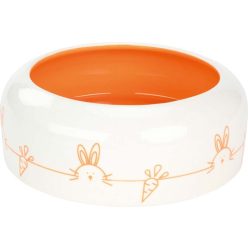 AniOne Bol ceramic pentru animale mici, 500 ml