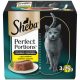Sheba® Perfect Portions™ Hrană umedă pisici adulte, bucăți pui, pachet 37,5 g