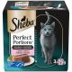 Sheba® Perfect Portions™ Hrană umedă pisici adulte, bucăți somon, pachet 37,5 g