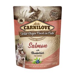   Carnilove Pouch Pate Puppy Hrană umedă pentru câini cu somon și afine 300 g