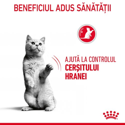Royal Canin Appetite Control Care Adult Hrană uscată pentru pisici sterilizate  2 kg