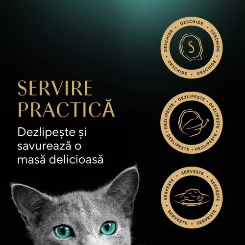 Sheba Classics Hrană umedă pentru pisici cu terină de pasăre 85 g